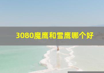 3080魔鹰和雪鹰哪个好