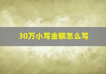 30万小写金额怎么写