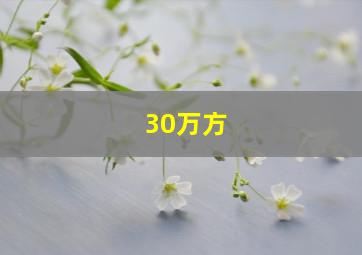 30万方