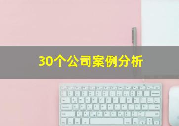 30个公司案例分析