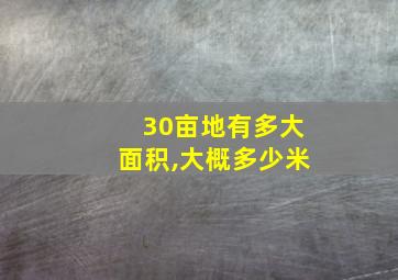 30亩地有多大面积,大概多少米