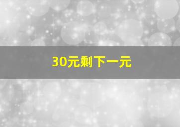 30元剩下一元