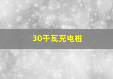 30千瓦充电桩