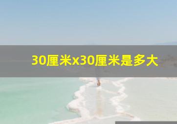 30厘米x30厘米是多大