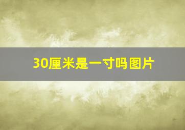 30厘米是一寸吗图片