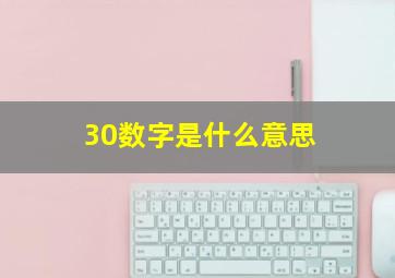 30数字是什么意思