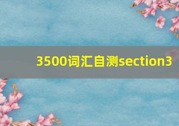 3500词汇自测section3