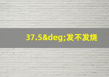 37.5°发不发烧