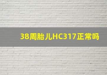 38周胎儿HC317正常吗