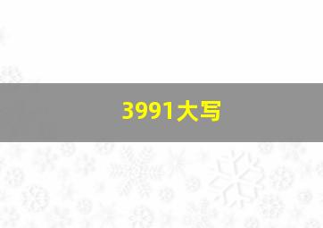 3991大写