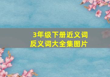 3年级下册近义词反义词大全集图片