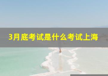 3月底考试是什么考试上海