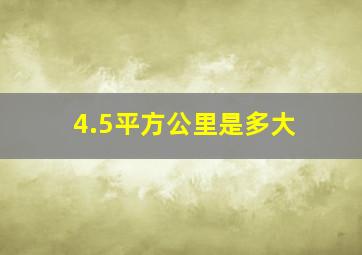 4.5平方公里是多大