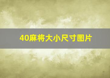 40麻将大小尺寸图片