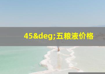 45°五粮液价格