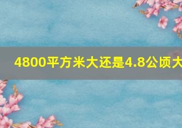 4800平方米大还是4.8公顷大