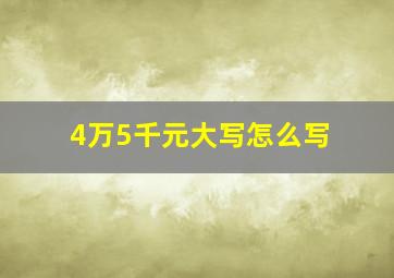 4万5千元大写怎么写