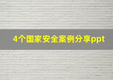 4个国家安全案例分享ppt