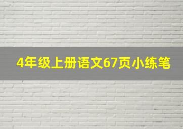 4年级上册语文67页小练笔