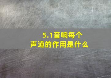 5.1音响每个声道的作用是什么