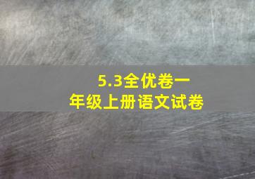 5.3全优卷一年级上册语文试卷