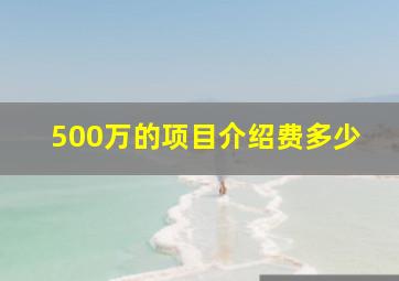 500万的项目介绍费多少