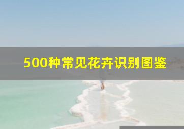 500种常见花卉识别图鉴