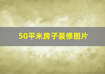 50平米房子装修图片