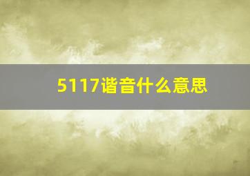 5117谐音什么意思