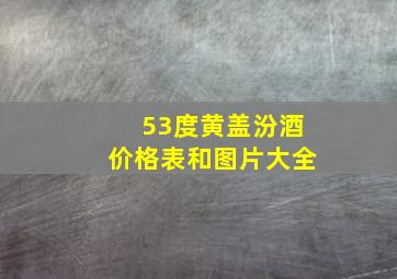 53度黄盖汾酒价格表和图片大全