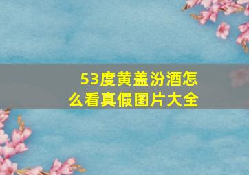 53度黄盖汾酒怎么看真假图片大全