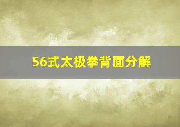 56式太极拳背面分解