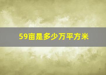 59亩是多少万平方米