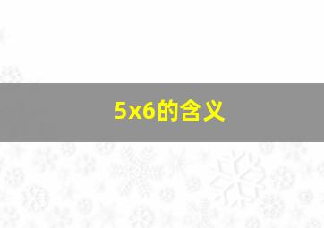 5x6的含义