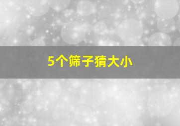 5个筛子猜大小