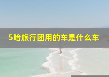 5哈旅行团用的车是什么车