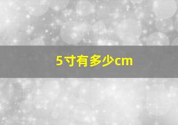 5寸有多少cm