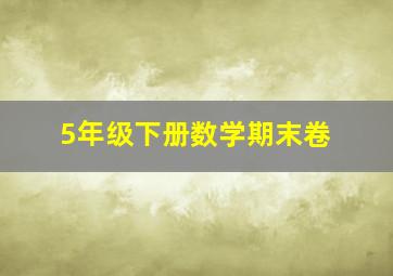 5年级下册数学期末卷