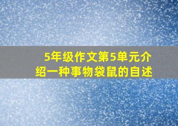 5年级作文第5单元介绍一种事物袋鼠的自述