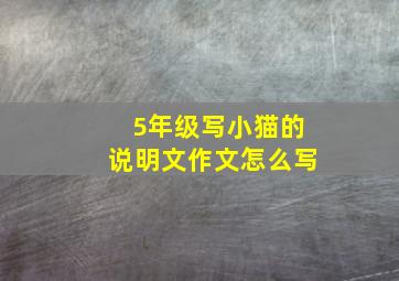 5年级写小猫的说明文作文怎么写