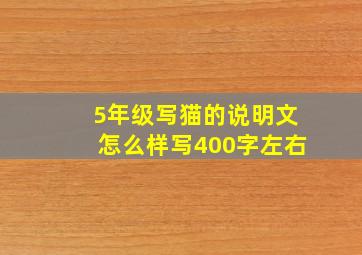 5年级写猫的说明文怎么样写400字左右