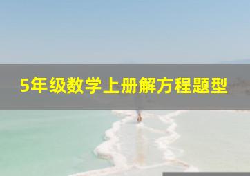 5年级数学上册解方程题型