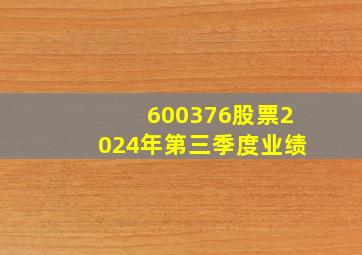 600376股票2024年第三季度业绩