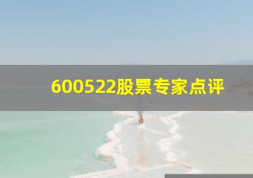 600522股票专家点评