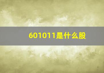 601011是什么股