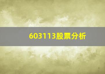 603113股票分析