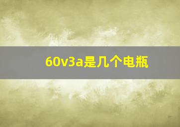 60v3a是几个电瓶