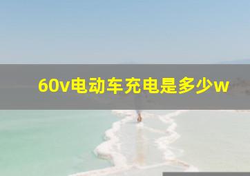 60v电动车充电是多少w