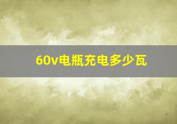 60v电瓶充电多少瓦