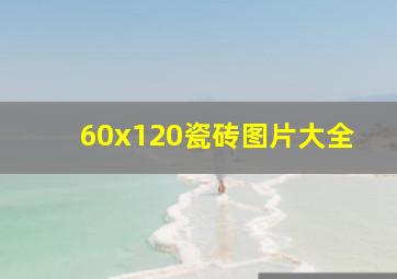 60x120瓷砖图片大全